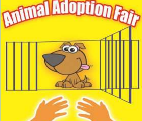 4th Annual In-Door Animal Adoption Fair